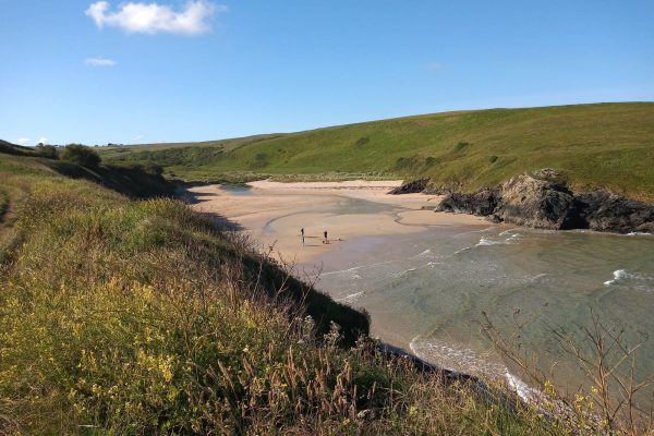 polly joke 600x400 - Gallery